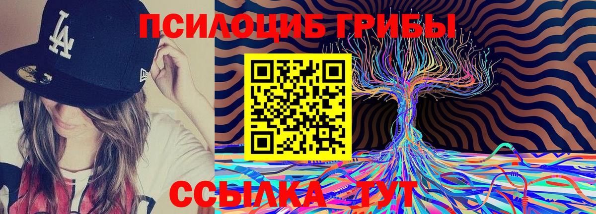 Галлюциногенные грибы Psilocybine cubensis  Вход с VPN  Костомукша 